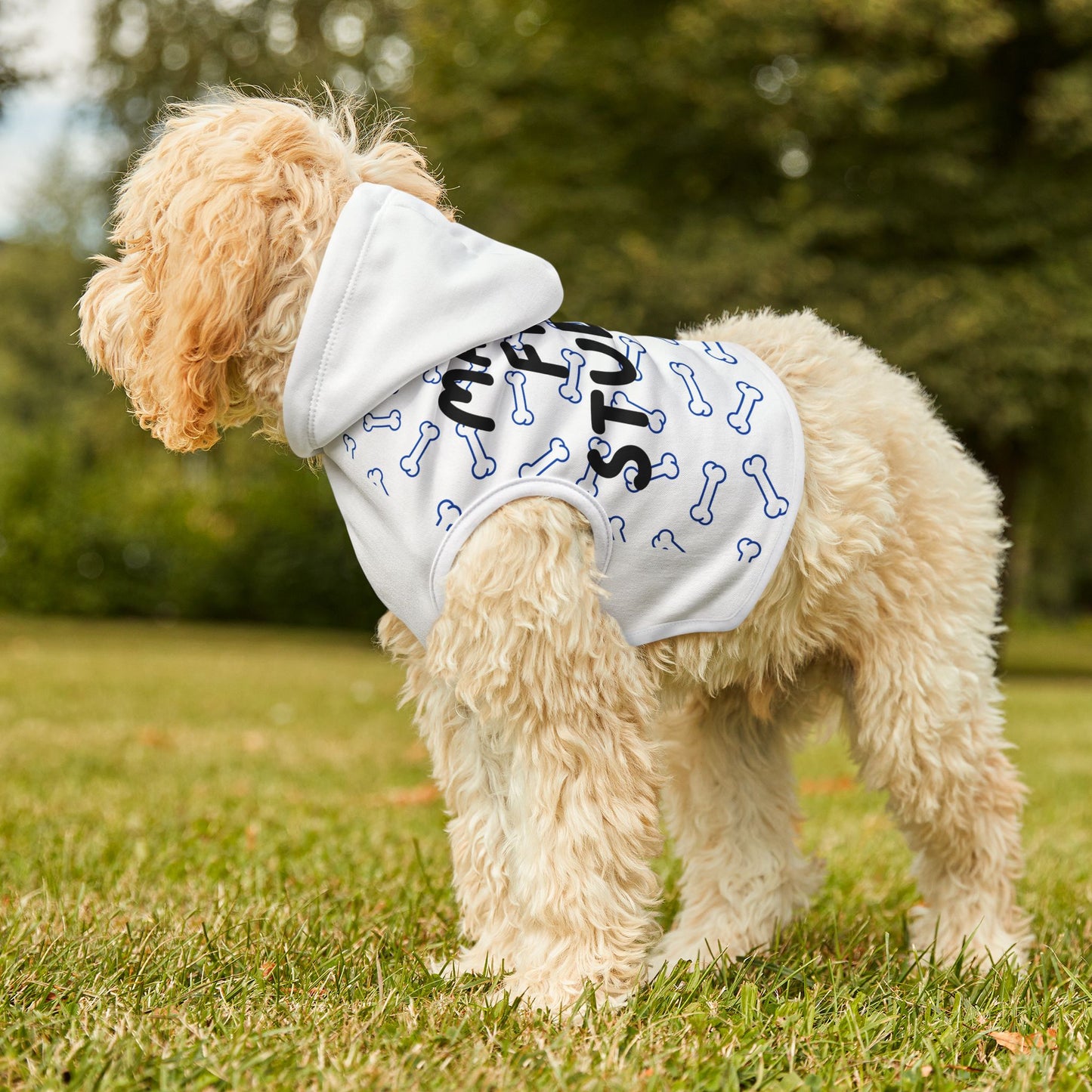 Pet Hoodie